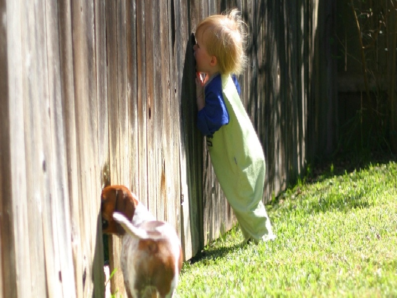 武汉试管做几代好,2024年武汉做完试管持续出血几天（diy试管花器）